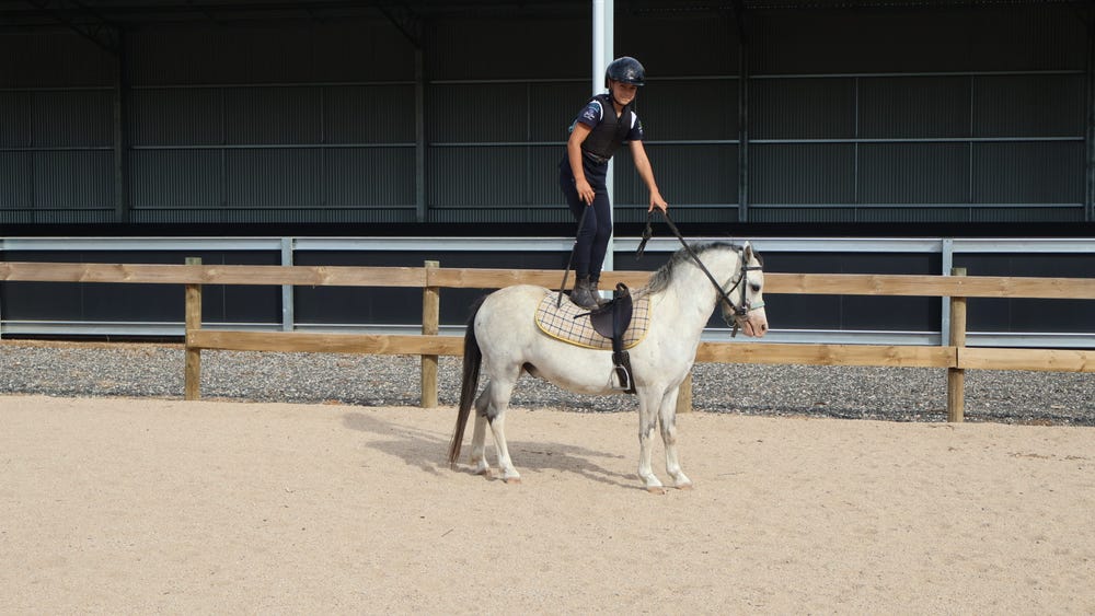 Kids Pony — photo 2 of 3
