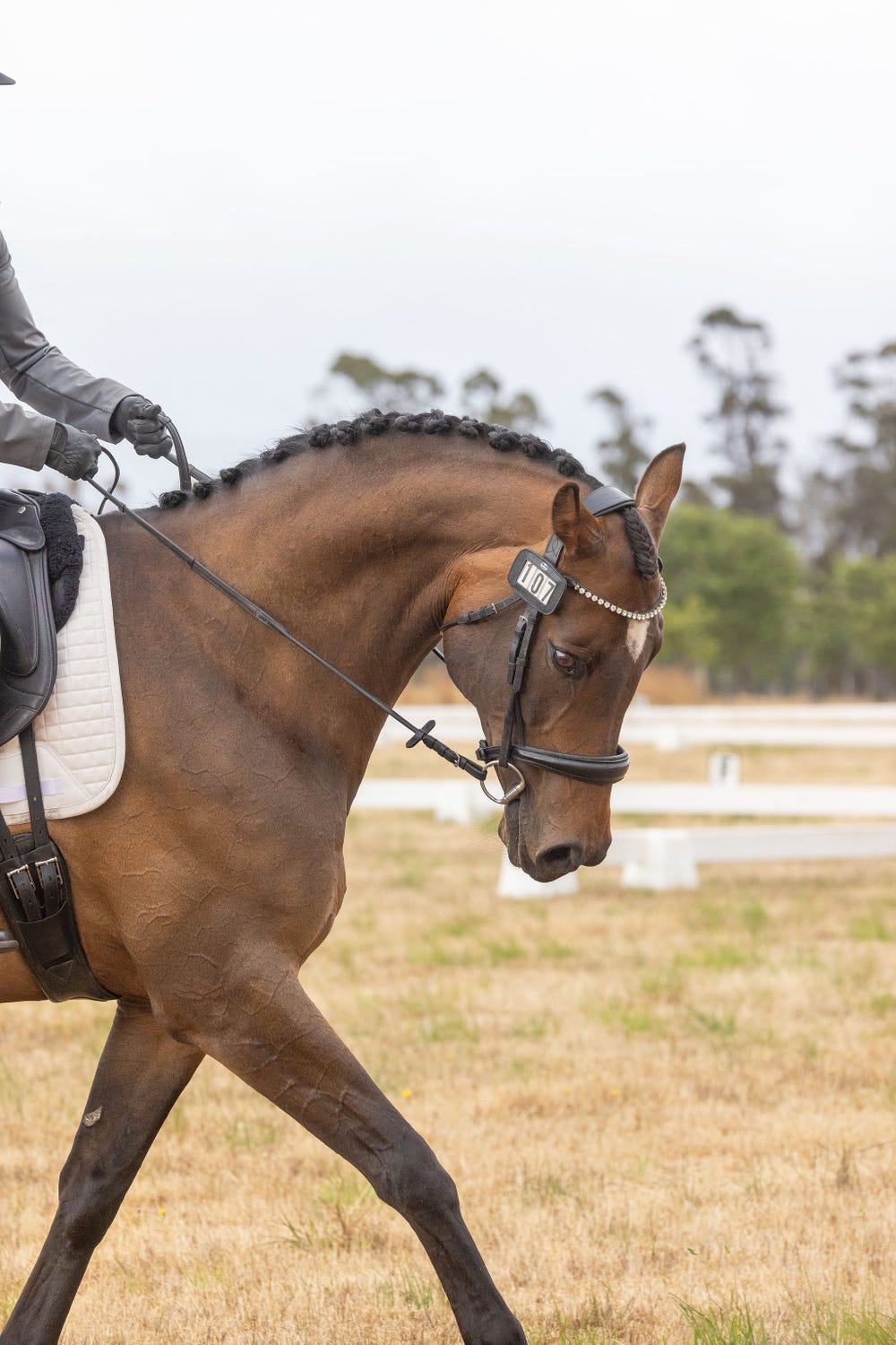 The Ultimate Schoolmaster