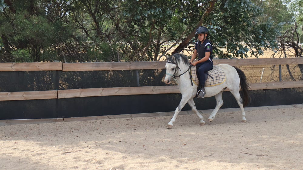 Kids Pony — photo 3 of 3