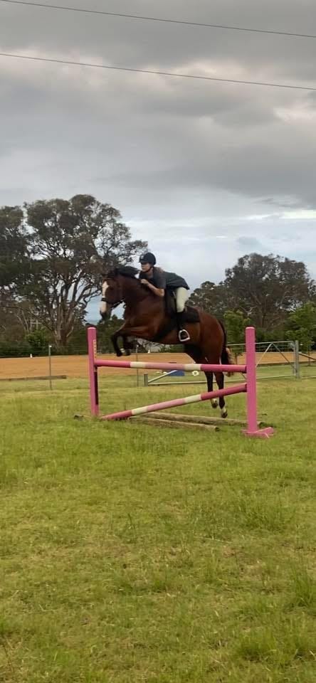 Eventing Potential — photo 3 of 5