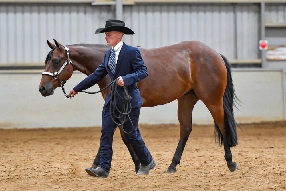 Western Performance Prospect — photo 2 of 5