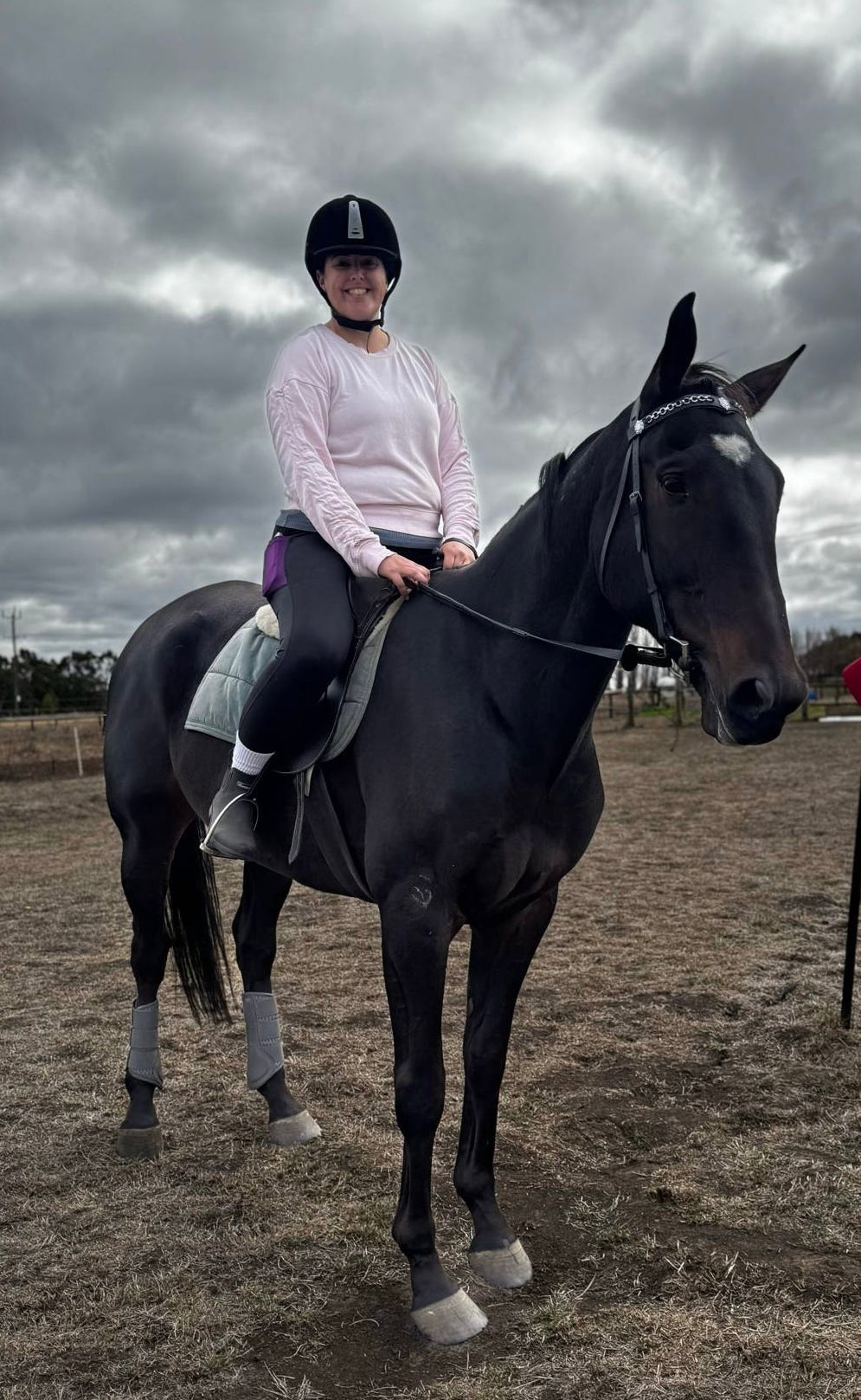 Handsome STB Gelding — photo 3 of 3