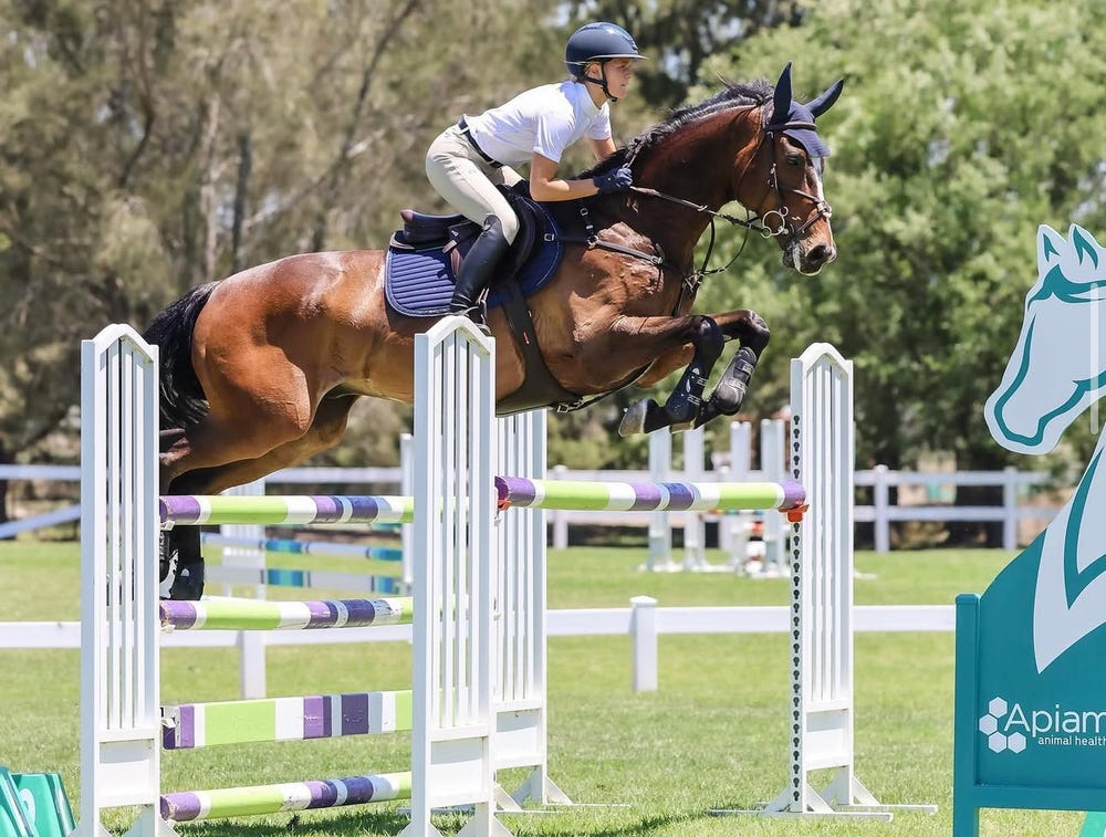 Competitive Schoolmaster — photo 3 of 4