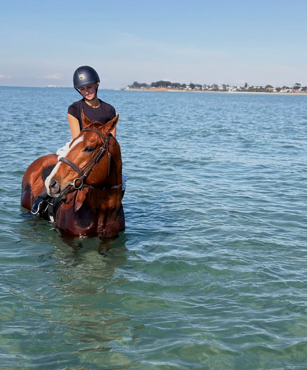 Flashy Dressage/Allrounder OTT — photo 3 of 5