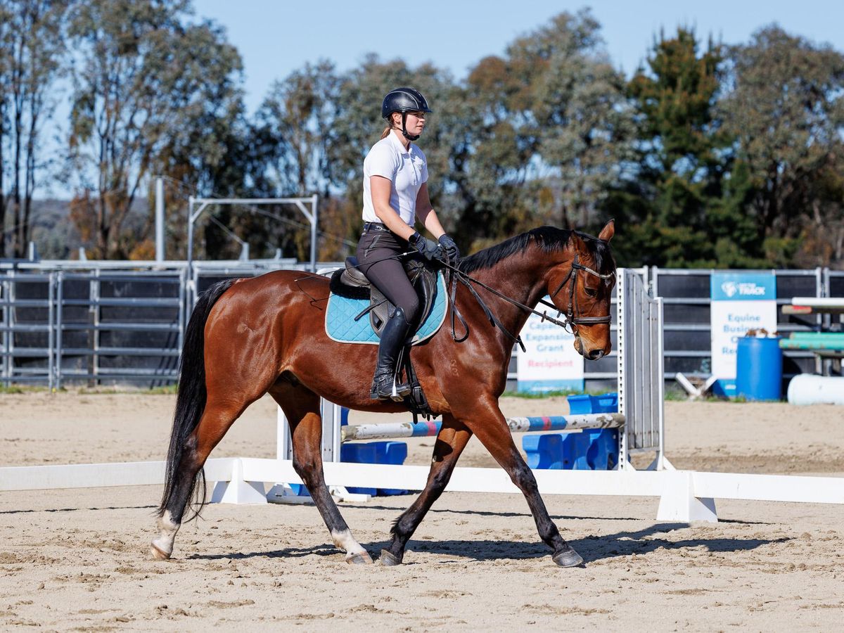 Ultimate Mums horse — photo 2 of 9