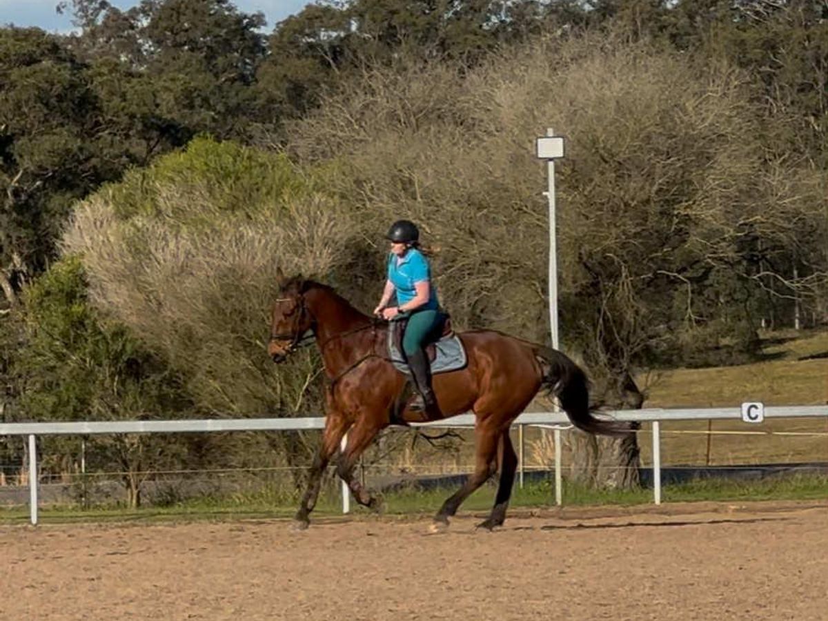 Lovely Allrounder — photo 3 of 7