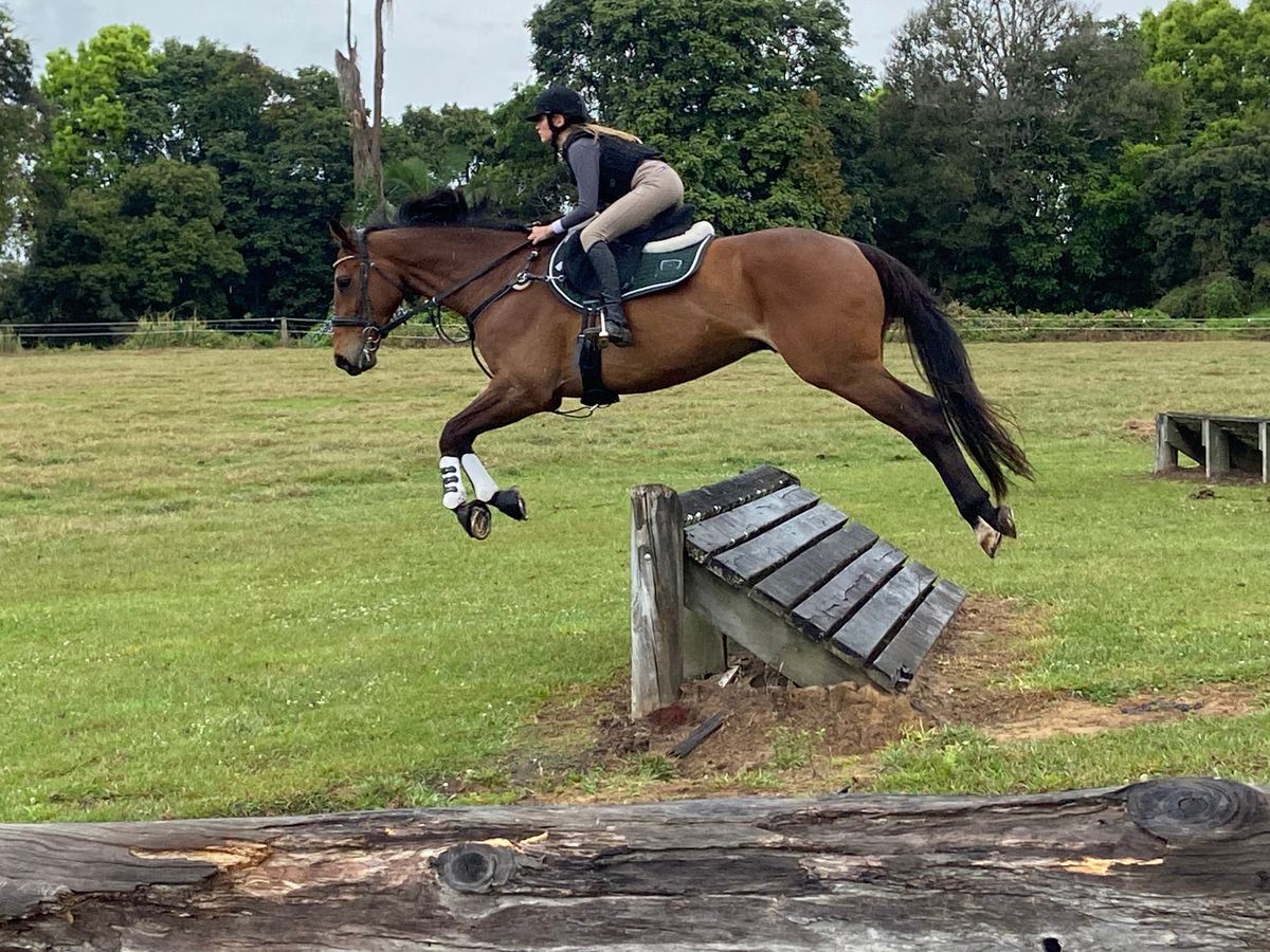 Absolute Gentleman Schoolmaster — photo 2 of 10