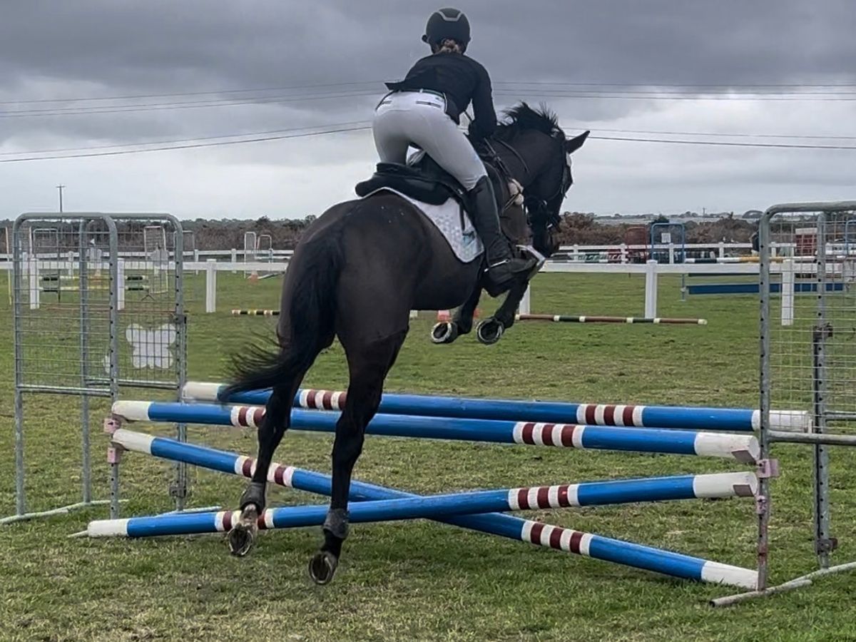 Nitro - Fashy, Handsome and Talented — photo 3 of 10