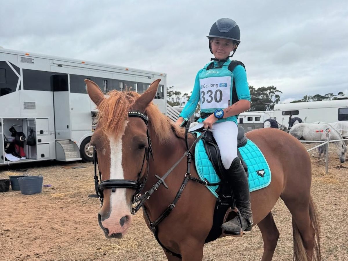 PERFORMANCE PONY — photo 2 of 10