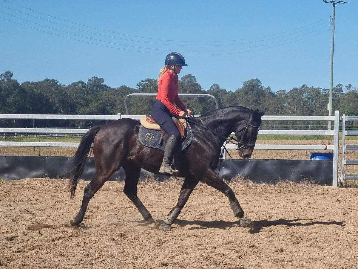 Super, solid & Handsome TB All-rounder — photo 3 of 10