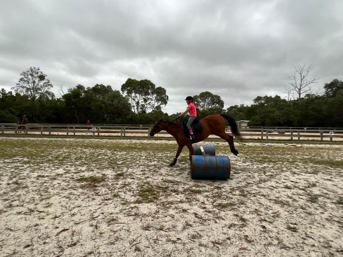 Bay Thoroughbred — photo 3 of 9