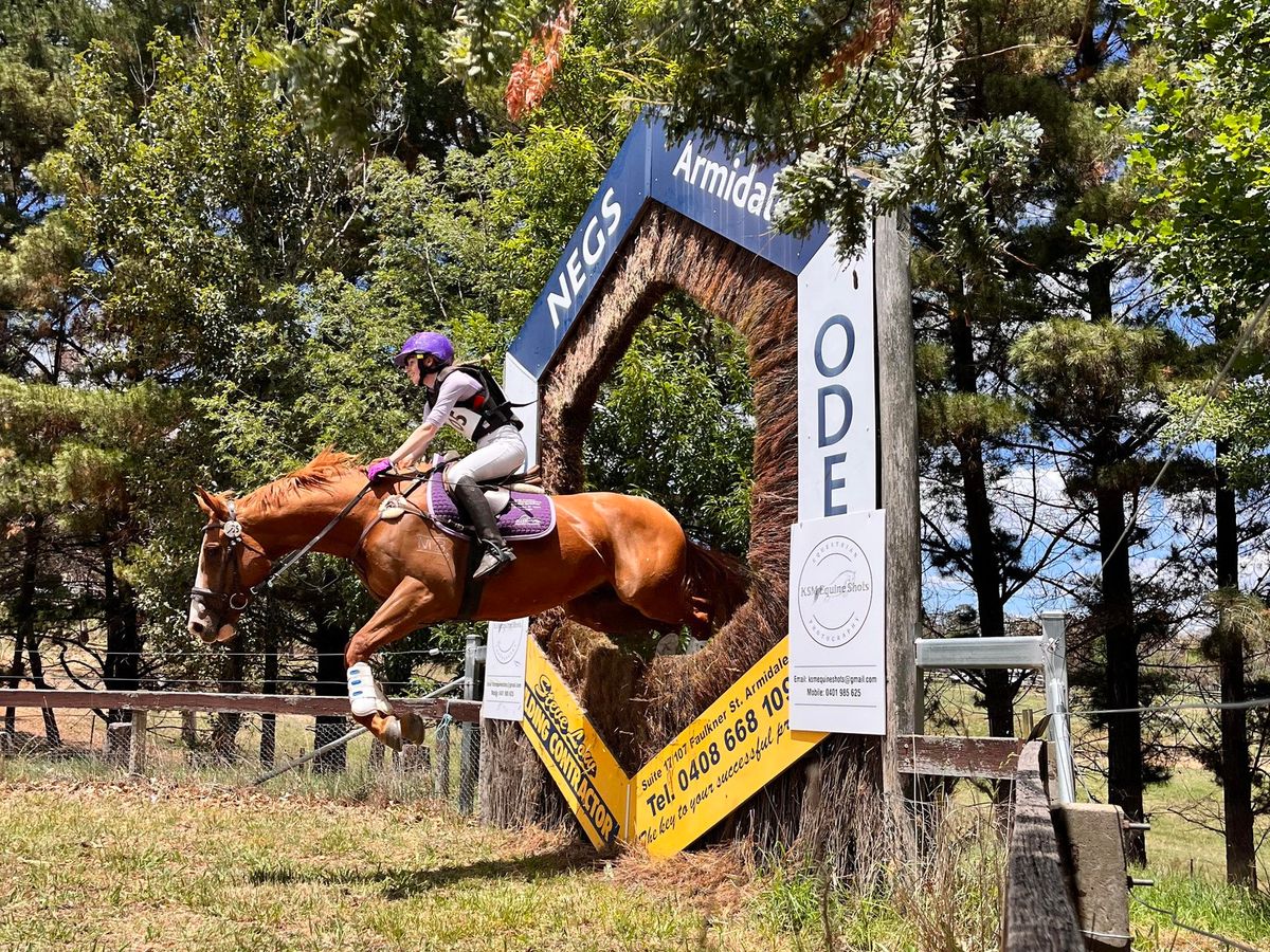 Interschools/Pony Club Package — photo 2 of 5