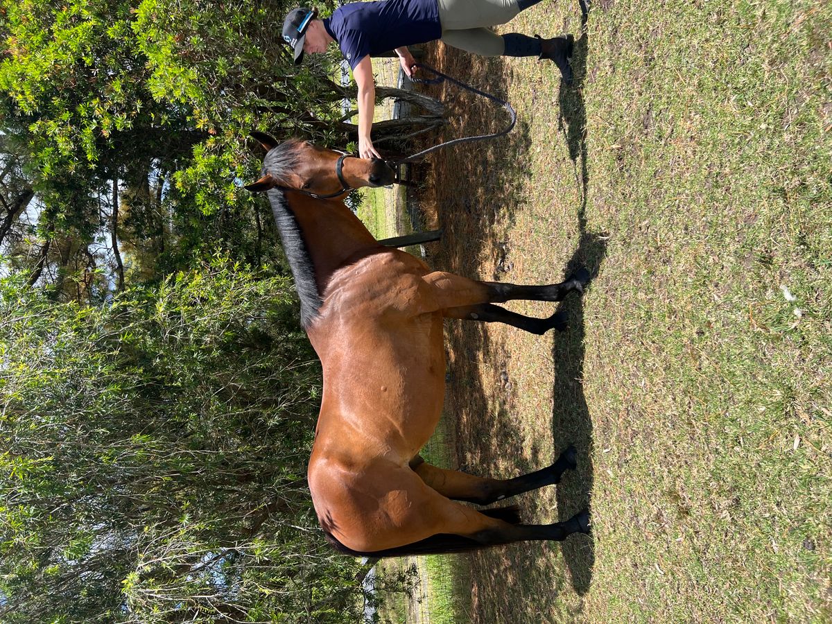 Trail Riding & General Enjoyment — photo 2 of 10