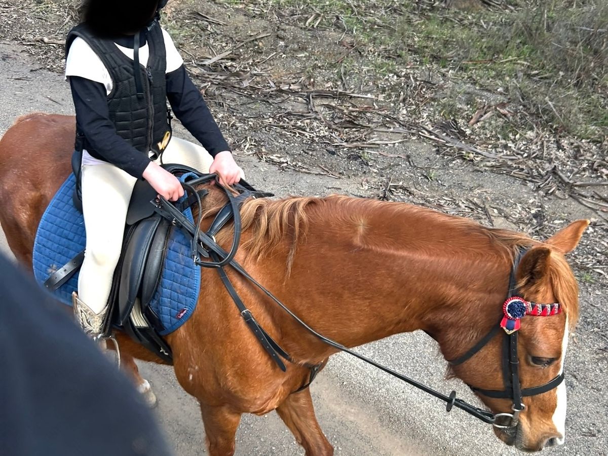 Kids pony — photo 2 of 10