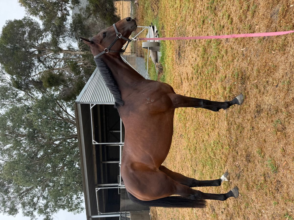 Super cool allrounder! — photo 2 of 10