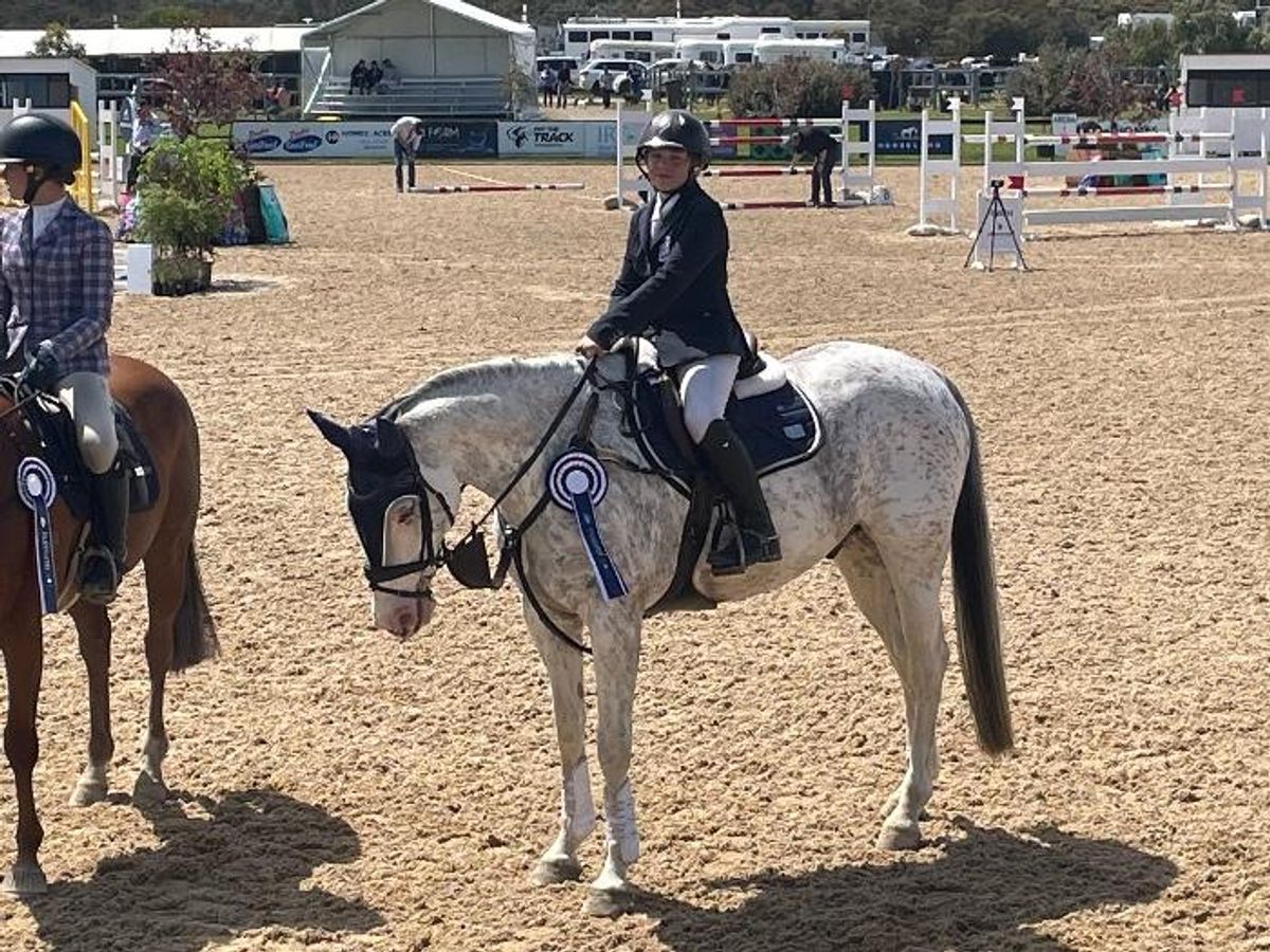 Genuine Schoolmaster — photo 2 of 7
