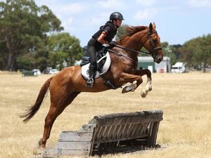 Curious Ties - loves to jump - sure and steady — photo 2 of 2