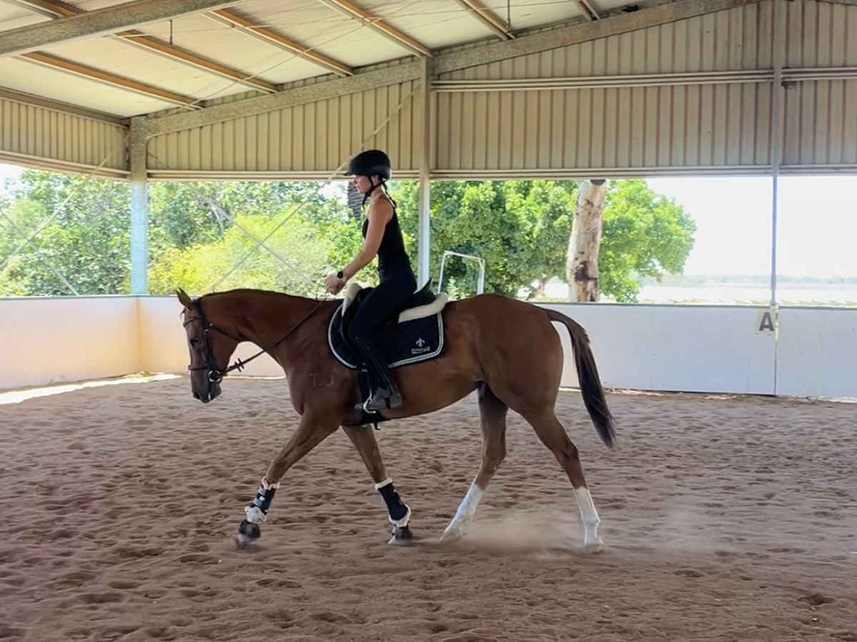 Stunning Show Prospect — photo 3 of 10