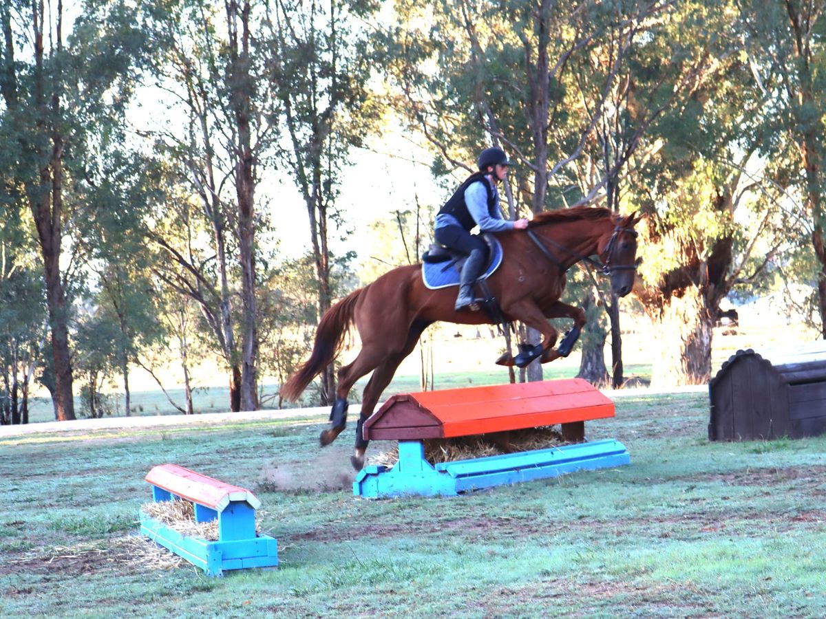 Your next Equimillions superstar — photo 2 of 9