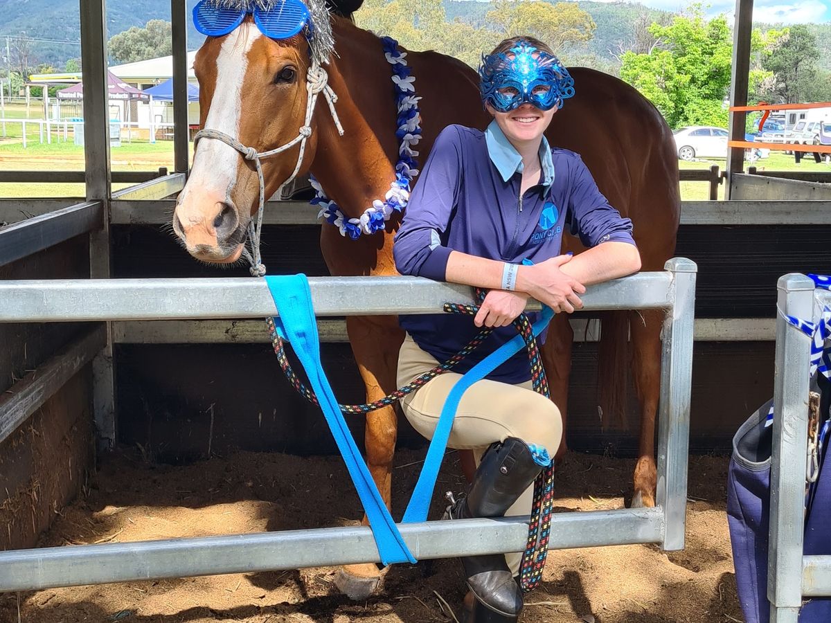 Interschools/Pony Club Package — photo 3 of 5