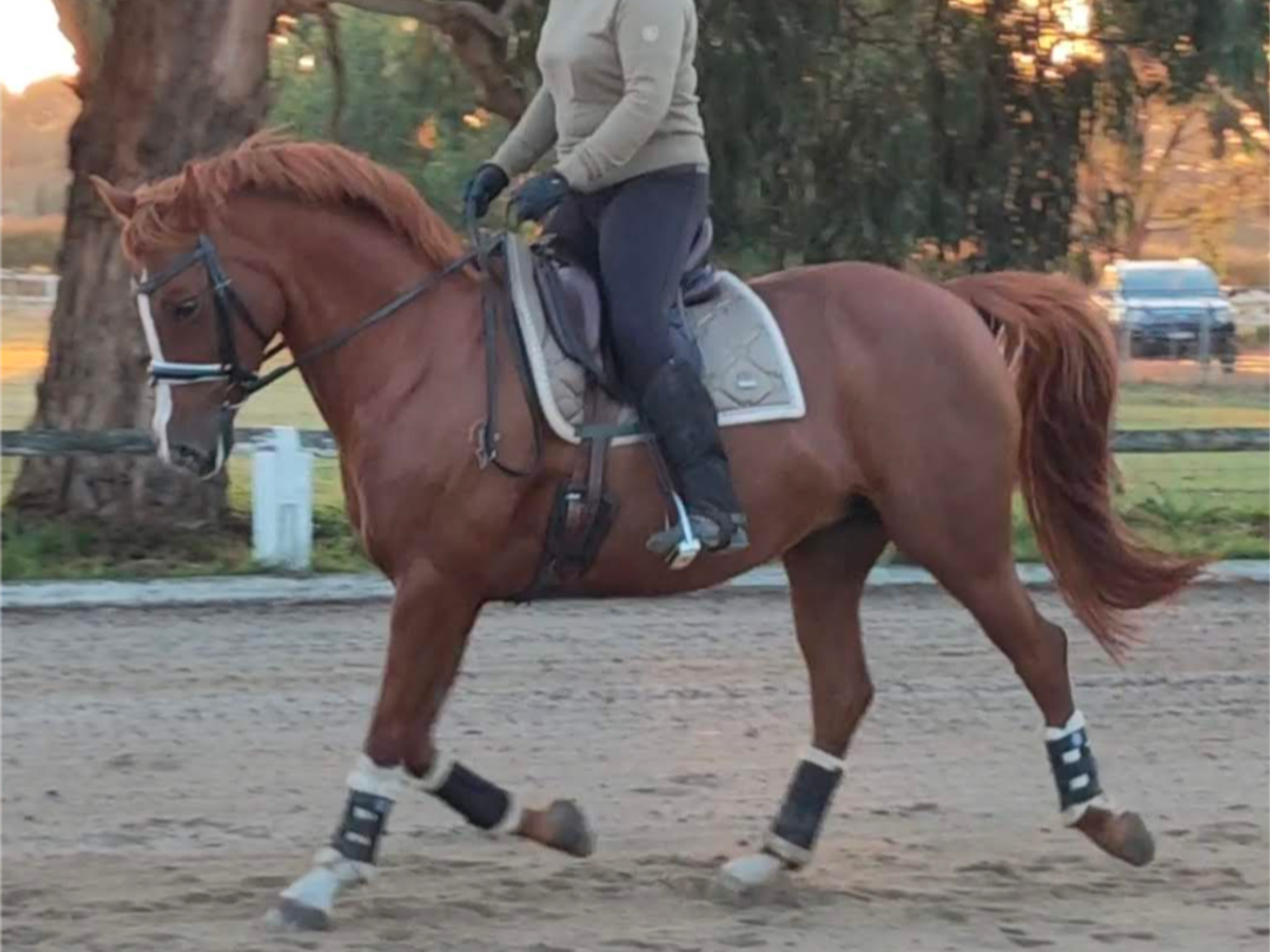 Breed or Ride — photo 2 of 10