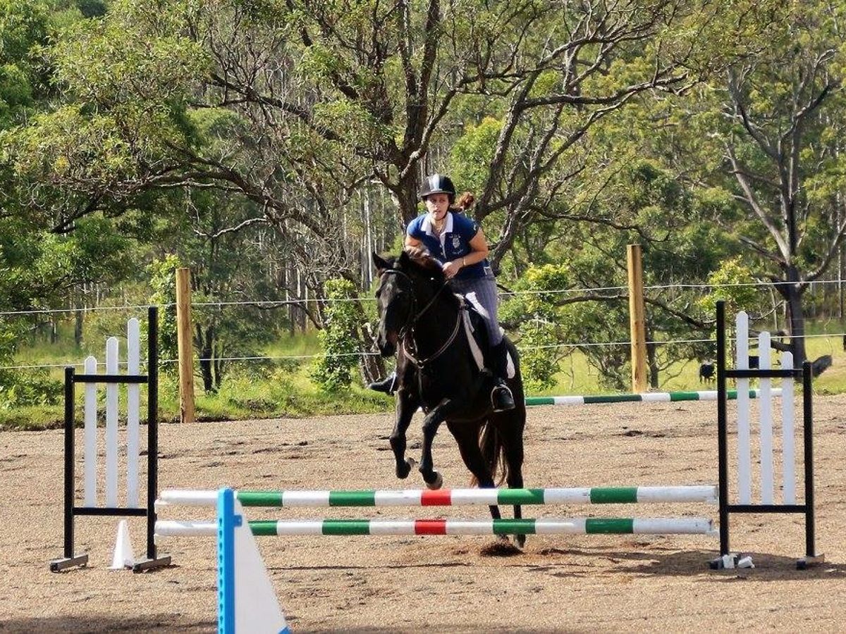 Great allrounder — photo 2 of 9