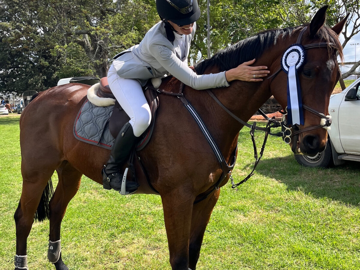 Serious Show Jumper — photo 3 of 10