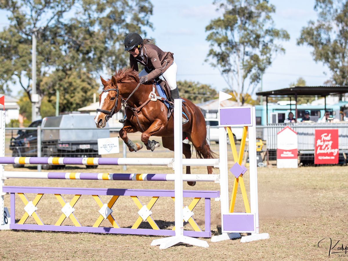 competitive OTT showjumper