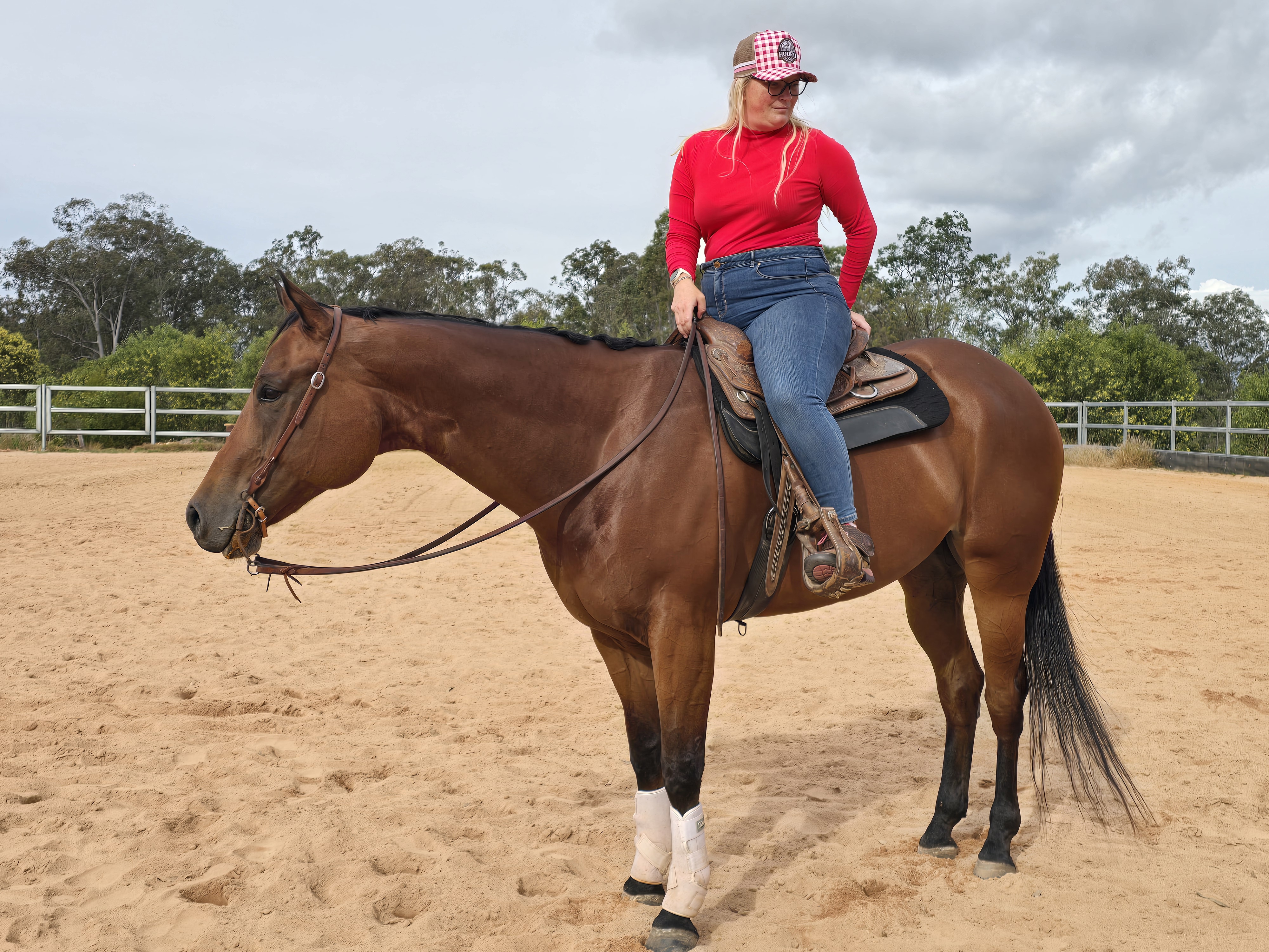 Buy Horses — Quarter Horse (photo 5)