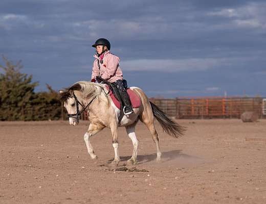 Theodore - Cute, Kind, & Trustworthy 5 Yr Old Buckskin Paint Pony Gelding!