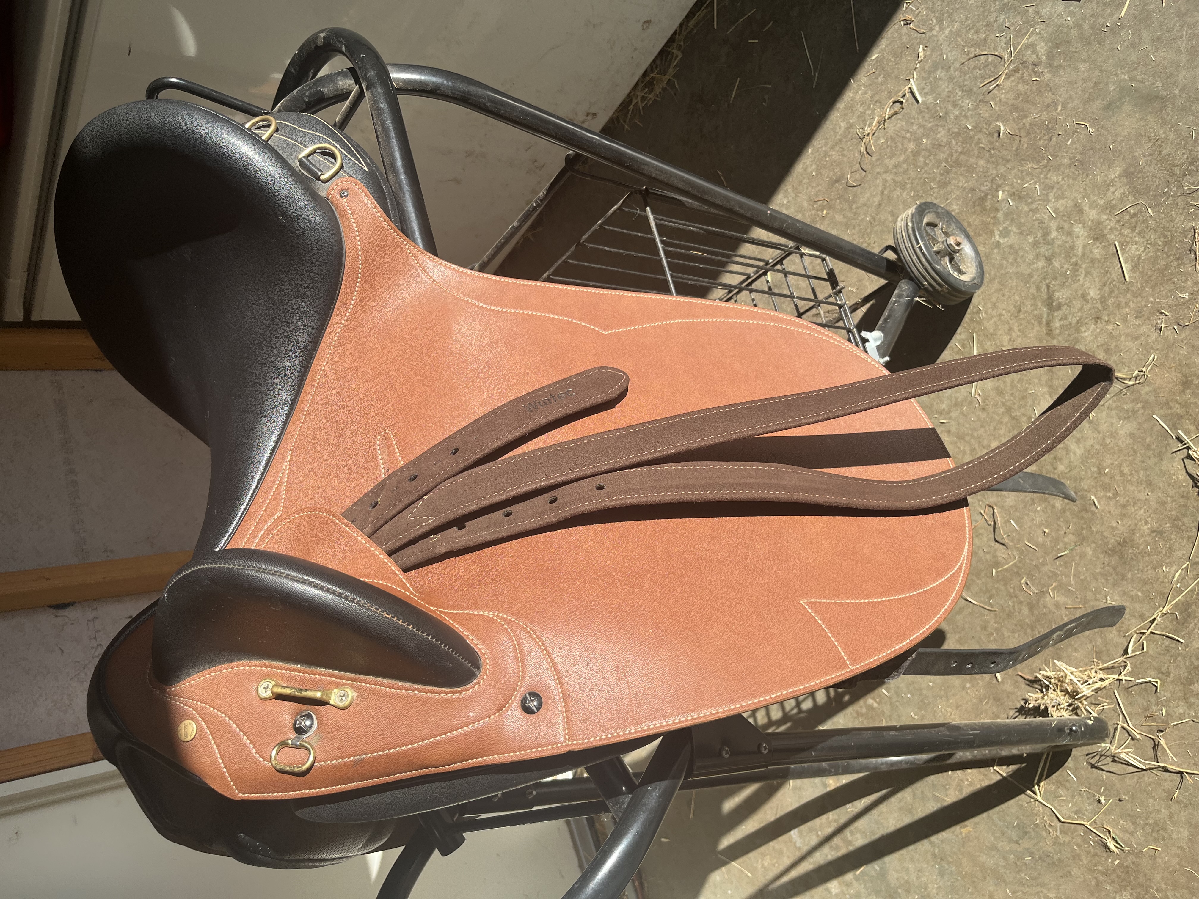 Wintec Pro Stock saddle rare find