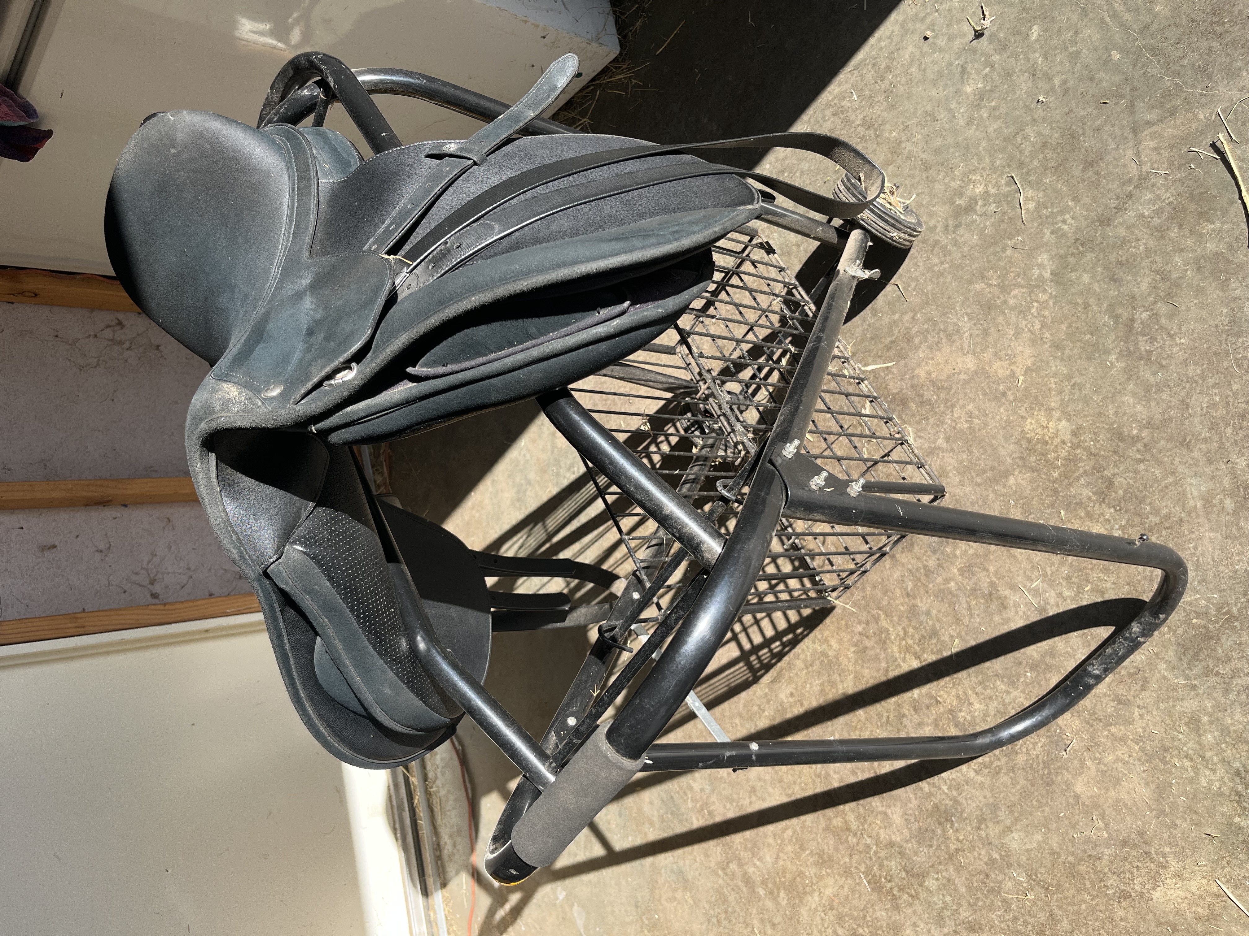 Wintec AP saddle in good condition NEED GONE