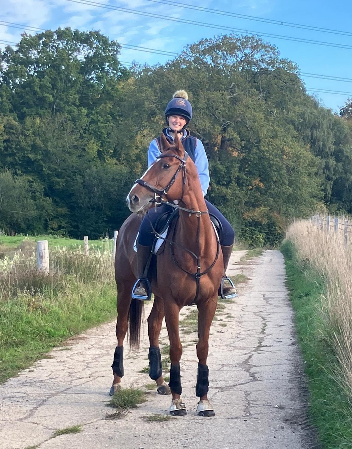 Beautiful Thoroughbred Horse Maisie — Thoroughbred (photo 3)