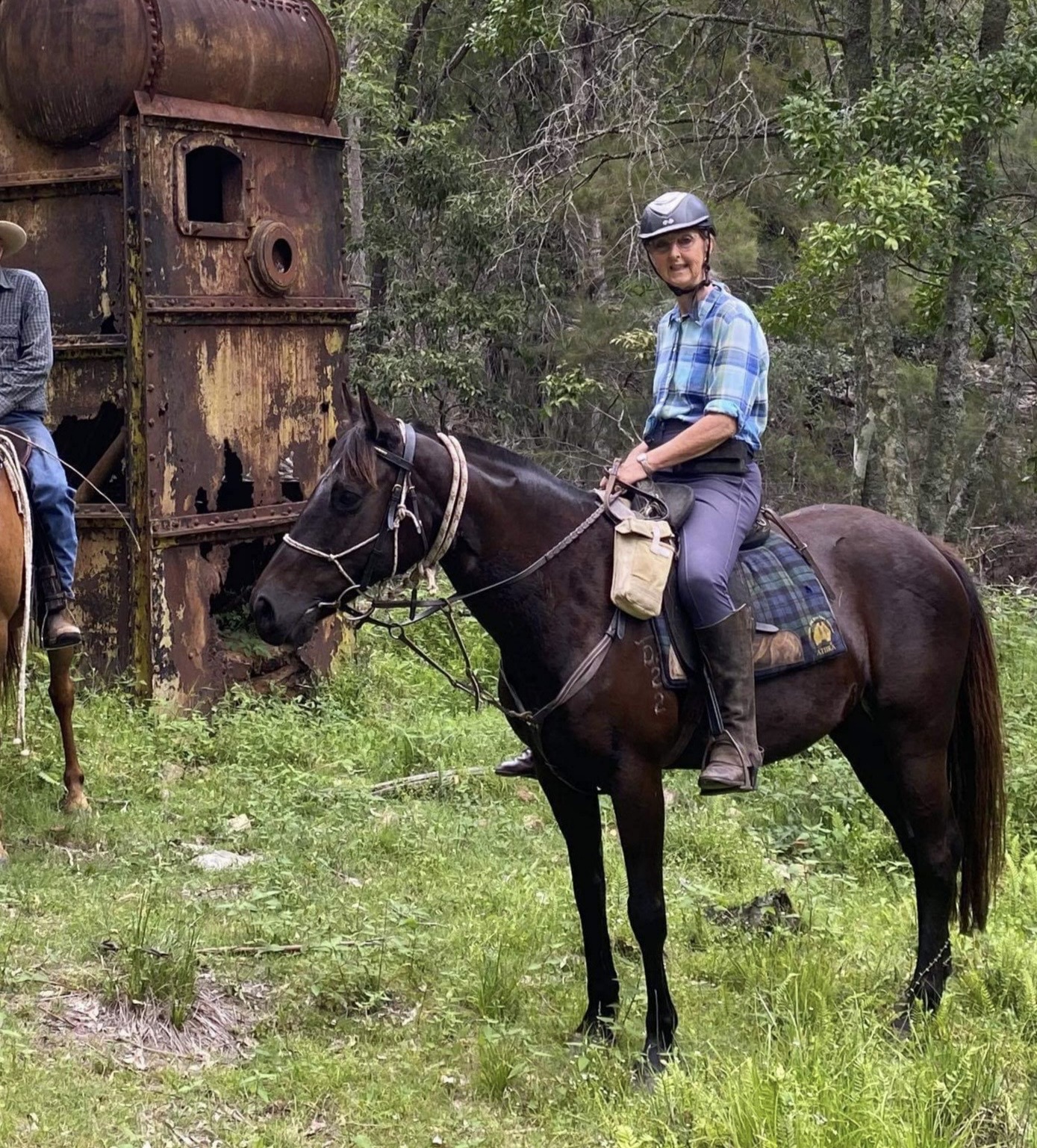 All Rounder — Australian Stock Horse (photo 2)
