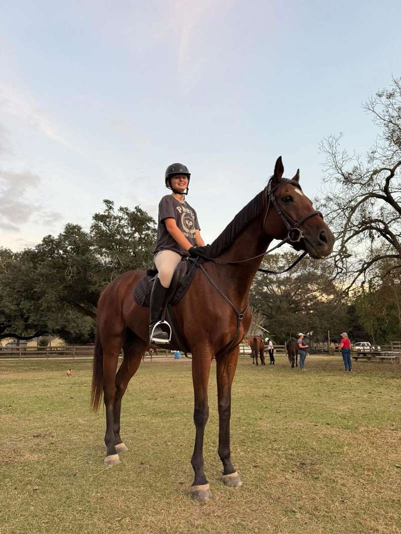 Registered Thoroughbred - Hunter/Jumper or Western — photo 2 of 5