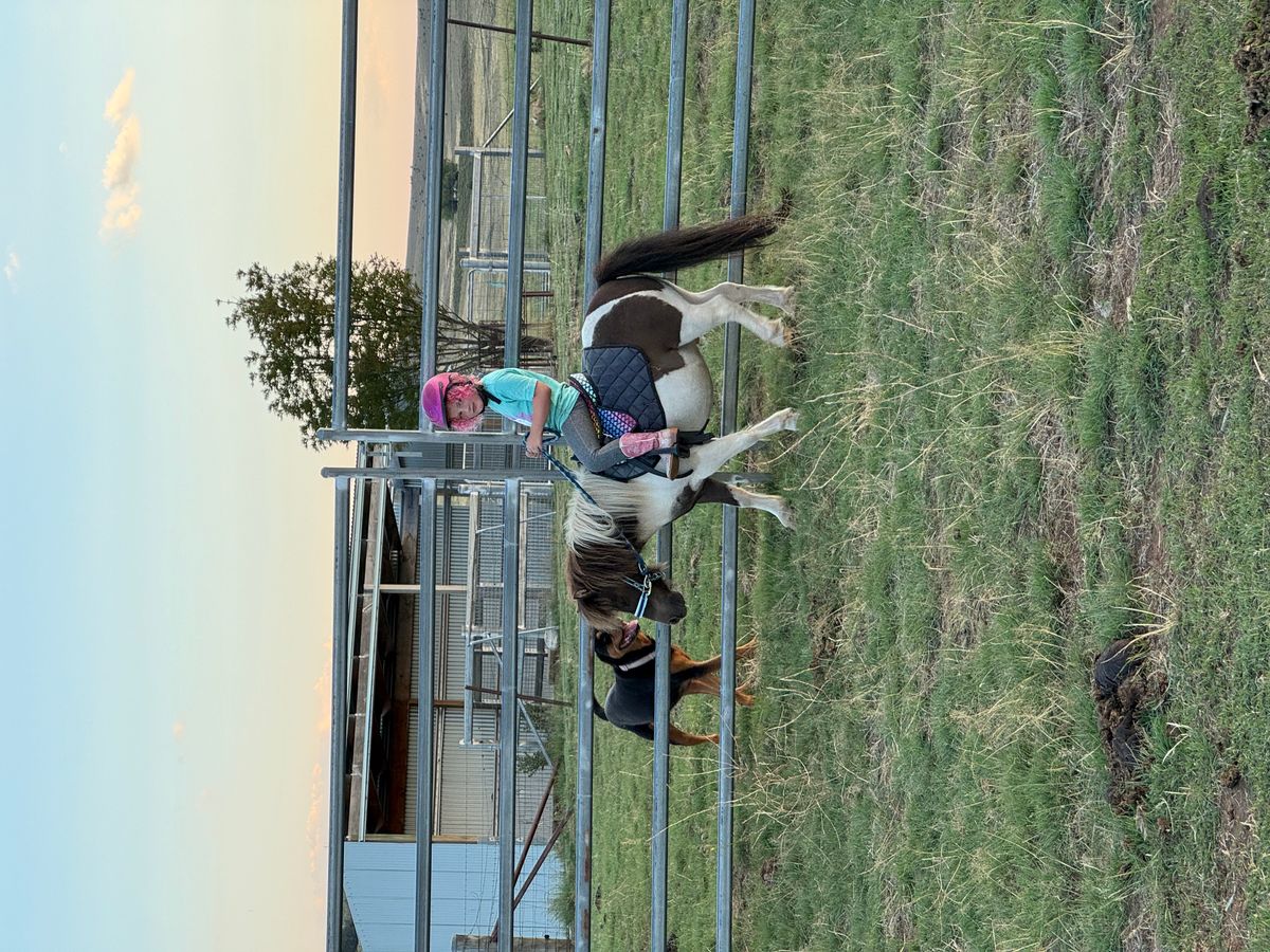 Children pony