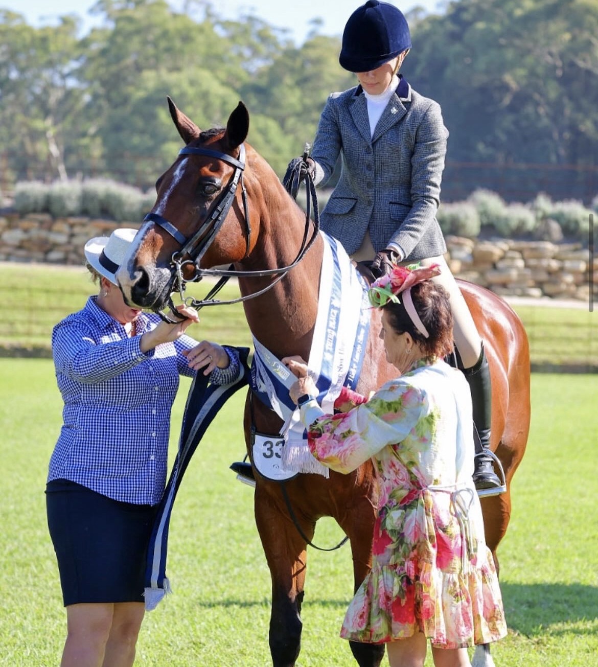 Safe Warmblood Schoolmaster — Warmblood (photo 4)