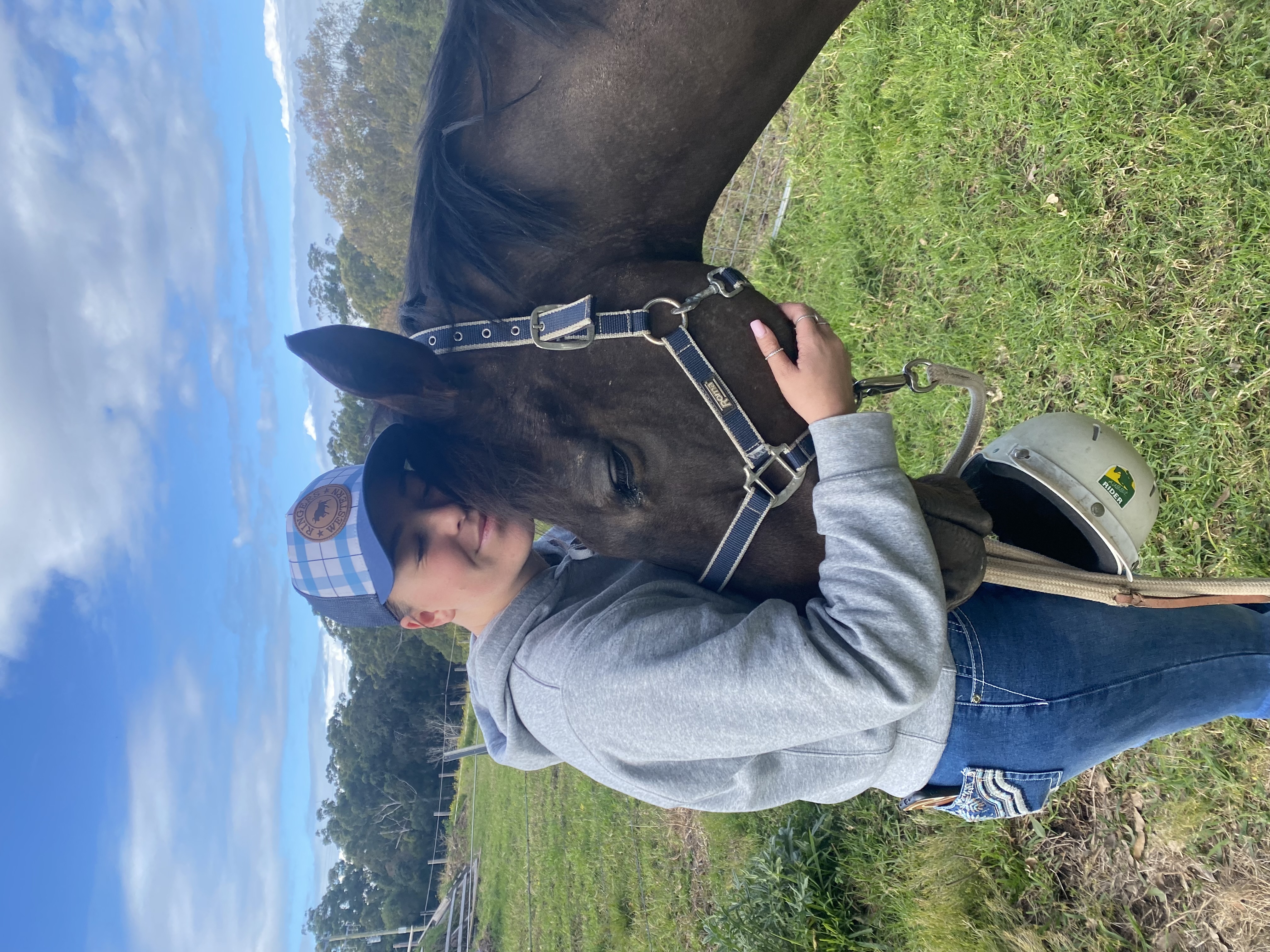 Winchester 171hh Tb Gelding — Thoroughbred (photo 2)