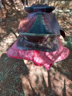 Listing image 4