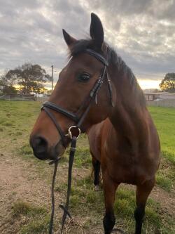Listing image 2