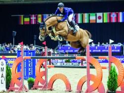 Stunning Diablue Gelding — image 4