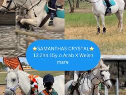 Listing image 1