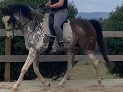 Listing image 2