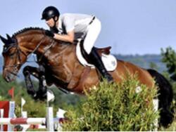 Stunning Diablue Gelding — image 1