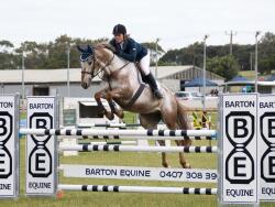 Showjumping Bred Filly — image 2