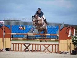 Showjumping Bred Filly — image 3