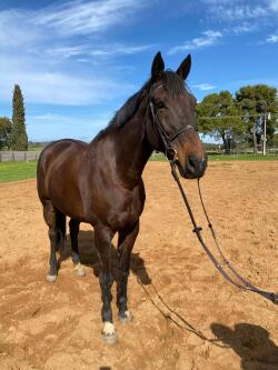 Listing image 2