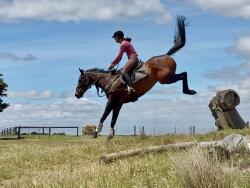 Established 95 eventer with scope — image 1