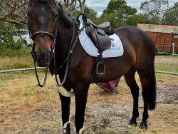 Listing image 4