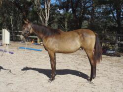 Picture